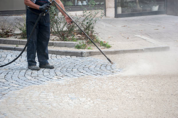 Best Pre-Holiday Cleaning  in Hamlet, IN
