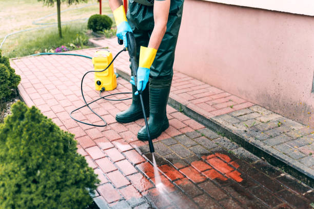 Best Building Exterior Washing  in Hamlet, IN